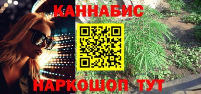 индика Будённовск