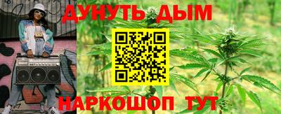 индика Будённовск