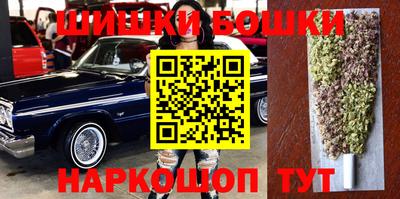индика Будённовск