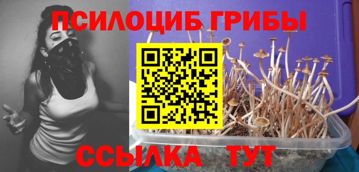Псилоцибиновые грибы прущие грибы Луховицы